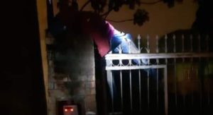 Presunto ratero huye al ser pillado, trepa muralla y muere electrocutado