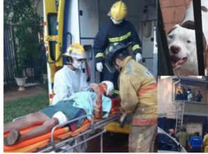Familia fue atacada por sus propios pitbull por rescatar a un gato