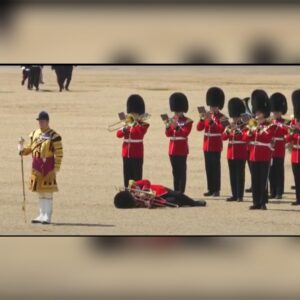 Guardias reales colapsaron por ola de calor y cayeron al piso