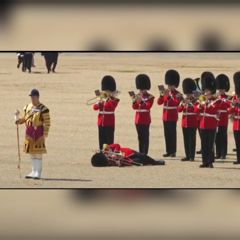 Guardias reales colapsaron por ola de calor y cayeron al piso
