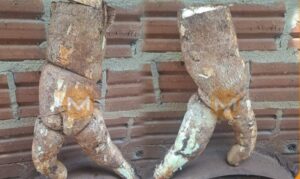 Apareció la “mandioca sexy” en Itapúa