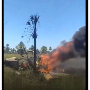 Piloto de avioneta estrellada en Luque-SanBer sobrevivió