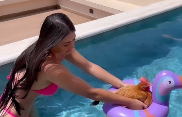 Laurys Diva armará una feroz farra para Hortensia por su cumple