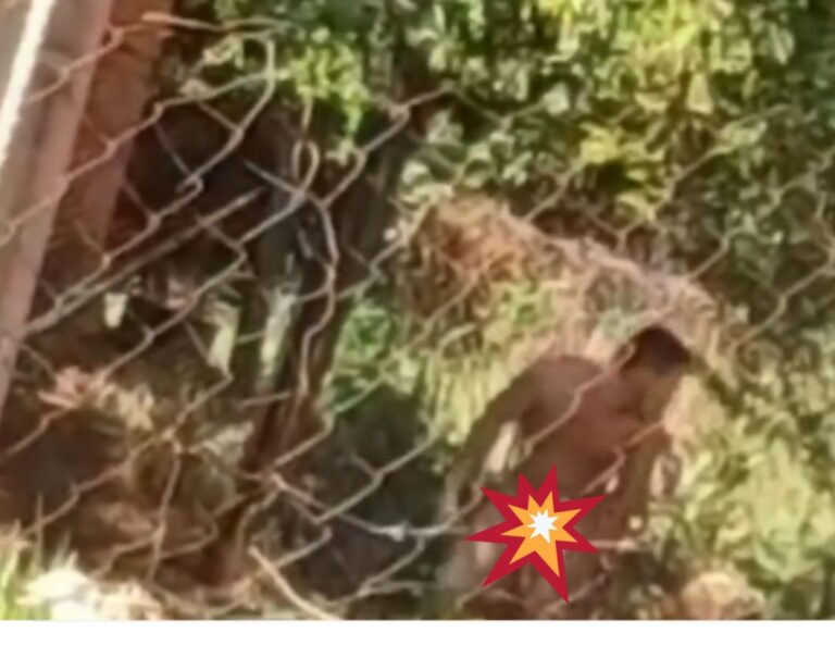 (VIDEO)Vecinas denuncian que depravado se desnuda frente a ellas