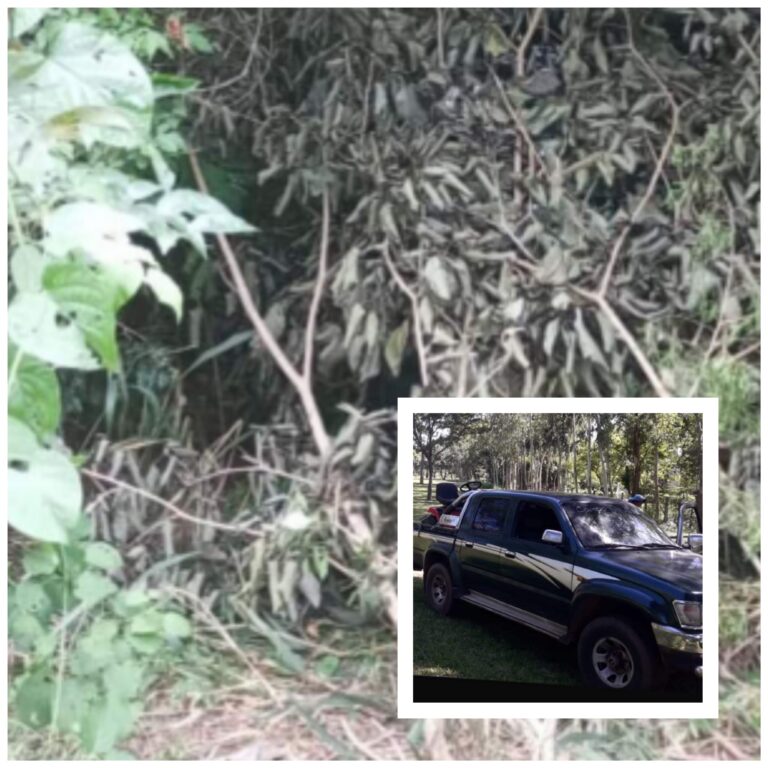 ¡”Tani” Struway logró recuperar su camioneta robada!