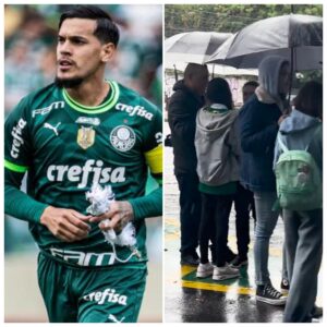 (VIDEO)Hacen largas filas para pedir autógrafos a Gustavo Gómez tras ninguneo en la Albirroja