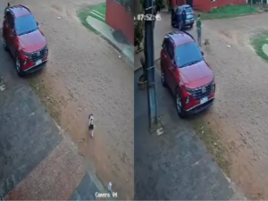 (VIDEO). Conductor infeliz le pasó encima a una perrita anga