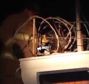 Bomberos rescatan a gatito atrapado entre alambres en Itá