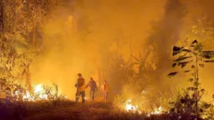 Continúa incendio en el Chaco y ya son 70 mil hectáreas afectadas