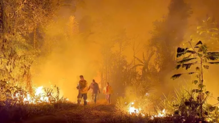 Continúa incendio en el Chaco y ya son 70 mil hectáreas afectadas