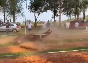 Policía confirma que menor que se accidentó con su caballo no sufrió lesiones importantes