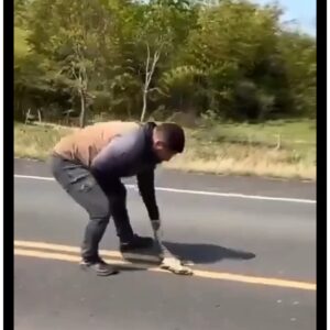 (VIDEO)Esposa del atropellado que quiso salvar lagarto he’i que conductora ni se comunicó