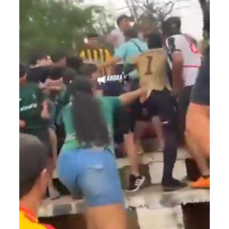 (VIDEO) Hinchas y peloteros se agarraron a golpes en semifinales de un torneo