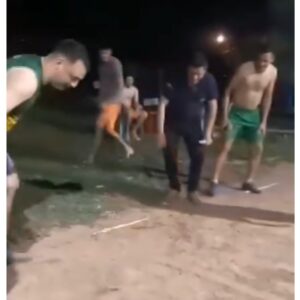 (VIDEO)¿Maltrato animal? ¡Carrera de sapos causó furor!