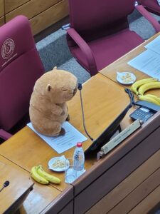 ¡Por tu cara Nayakama! Peluche de carpincho causa furor en el Senado