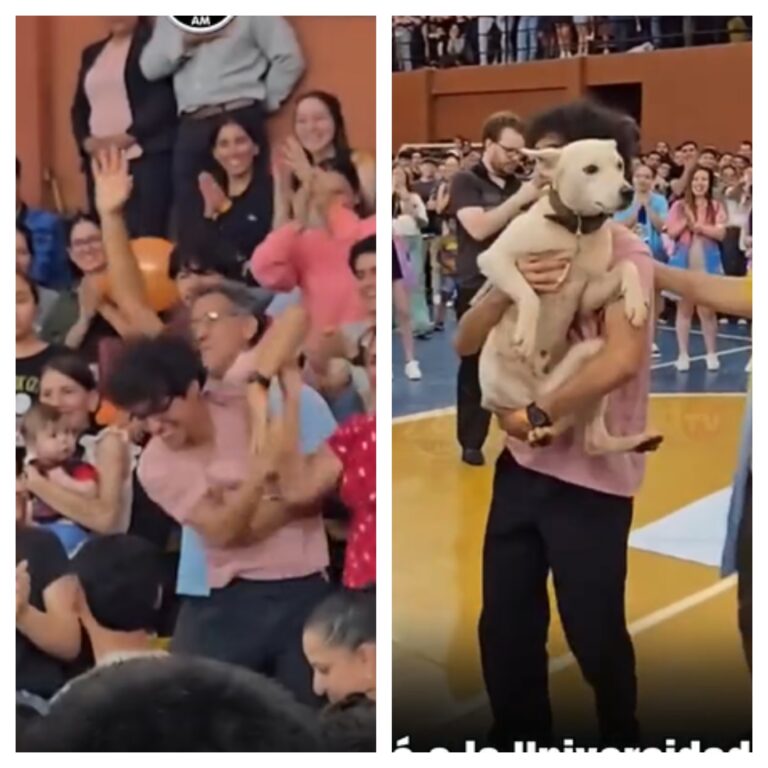 (Video) Ingresó a la universidad y lo celebró con firulais