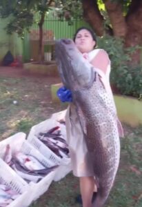 (VIDEO)Doñita causa furor por surubí gigante