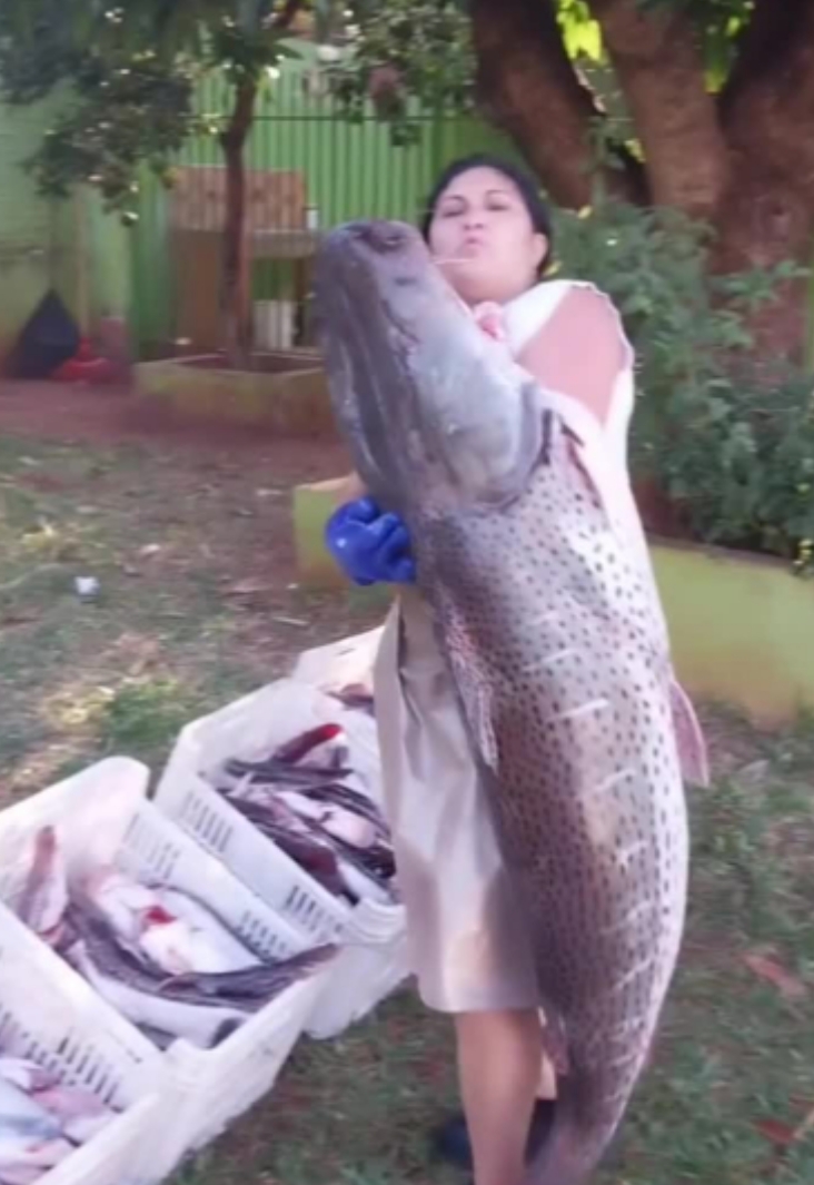(VIDEO)Doñita causa furor por surubí gigante