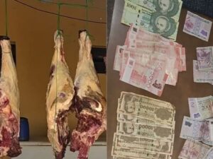 Abigeos ojepillapaite y cayeron con carne faenada como avei virú en efectivo