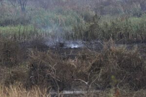 Quemó pasto en su patio y murió por inhalar humo