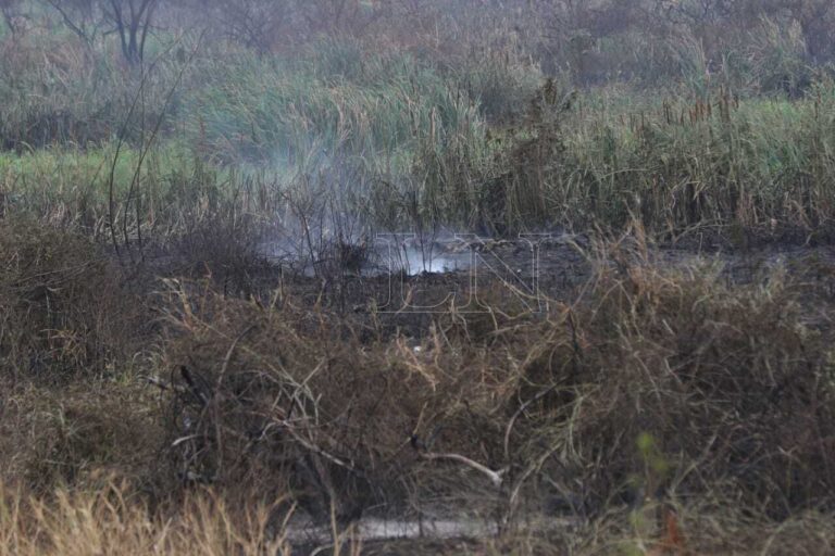 Quemó pasto en su patio y murió por inhalar humo