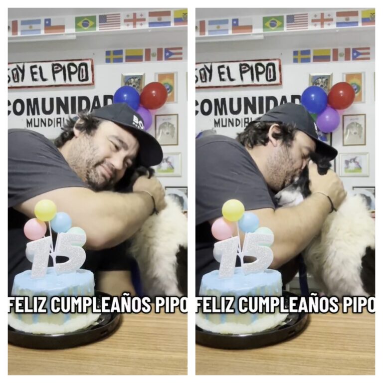 (Video) Pipo, el perro callejero que fue adoptado hace más de 15 años: mirá el conmovedor mensaje de su humano