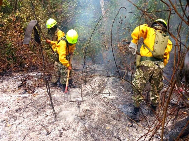 Bomberos luchan contra las llamas en San Bernardino