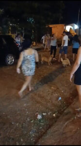 (VIDEO) Tíos, primos, abuelos y nietos a los golpes en Hernandarias