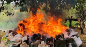 ¡Ndi! Ña Jueza denuncia la llamativa desaparición de varios kilos de macoña