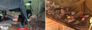 Recuperan celular robado y desmantelan presunto aguantadero en Limpio