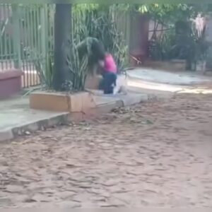 (VIDEO)Estudiante y desconocida se agarraron a golpes