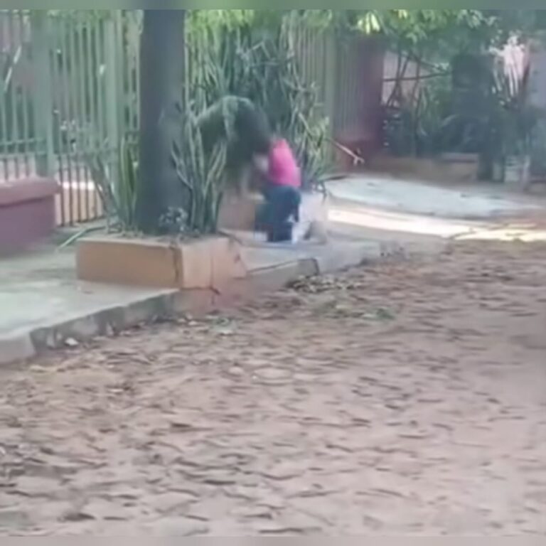 (VIDEO)Estudiante y desconocida se agarraron a golpes