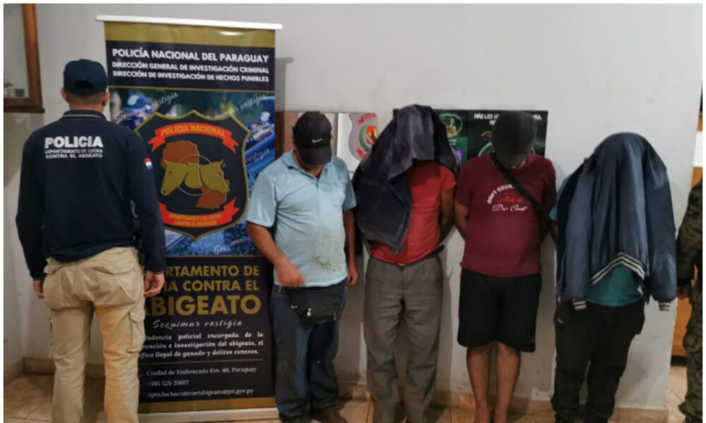 Retienen un transganado con animales vacunos sin documentos