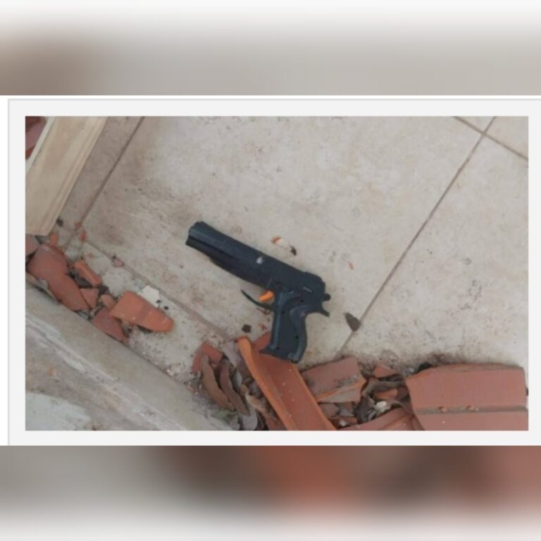 Delincuente con pistola de juguete fue @ses¡nado por dueño de vivienda que iba a robar