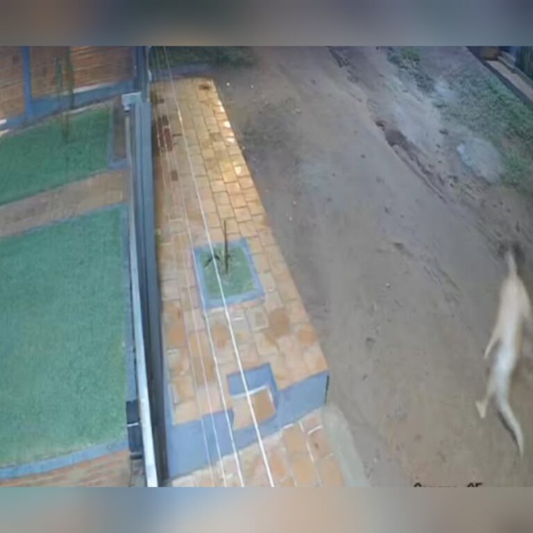 Mototaxi corrió opívo tras una cita h0t que no se concretó