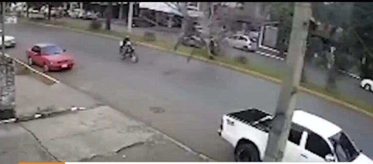 (Video) ¡Motoca se salvó por un pelo de ser aplastado por un árbol!