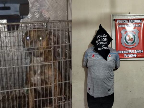 Ordenan prisión al dueño del pitbull que mató a un prójimo