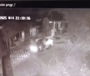 (Video) Familia de Limpio busca a su conejo que fue llevado en un auto