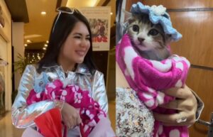 ¡Hekovia Hortensia! Laurys presentó a su nueva mascota: “La gatita que me adoptó”