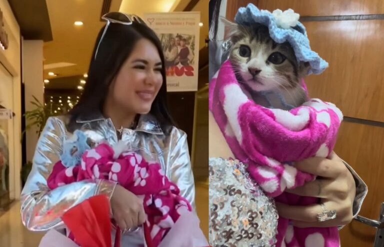 ¡Hekovia Hortensia! Laurys presentó a su nueva mascota: “La gatita que me adoptó”