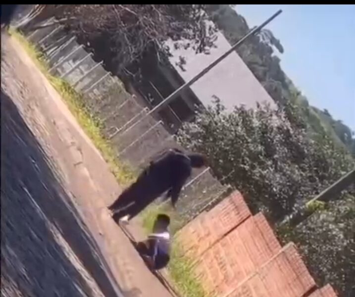 (VIDEO)Estudiantes se trenzaron a moquete en Encarnación