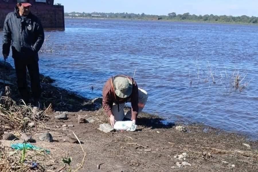 (VIDEO)Autopsia revela que bebé encontrado en Villa Hayes fue @ses¡nad0
