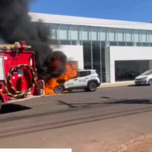 Patrullera vólai okái en pleno movimiento en la “Terraza”