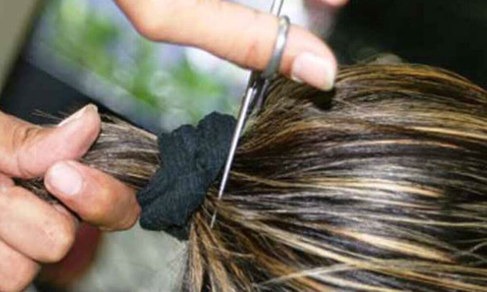 No perdonan nada: ¡Buscan a hombre que robó el pelo a una yiyi en el colectivo!