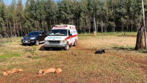 Karai cayó a un pozo ha omaite