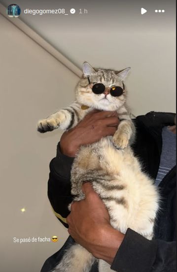 ¡Atendéna! ¡Se pasó de facha el gato de un pelotero albirrojo!