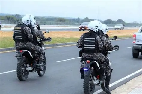 Atenti loperro: ¡Con una App se harán llamados a los Linces!