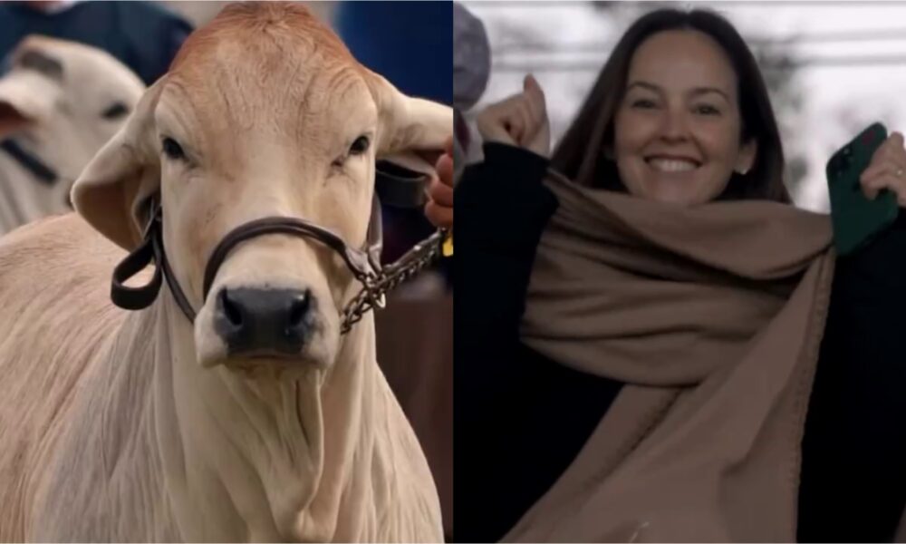 (VIDEO) ¡Mañami! ¡Gaby Bo estará en la Expo en su faceta de ganadera!