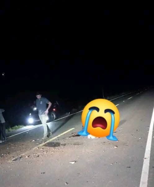 Motoca falleció arrollado por camión transganado en San Pedro