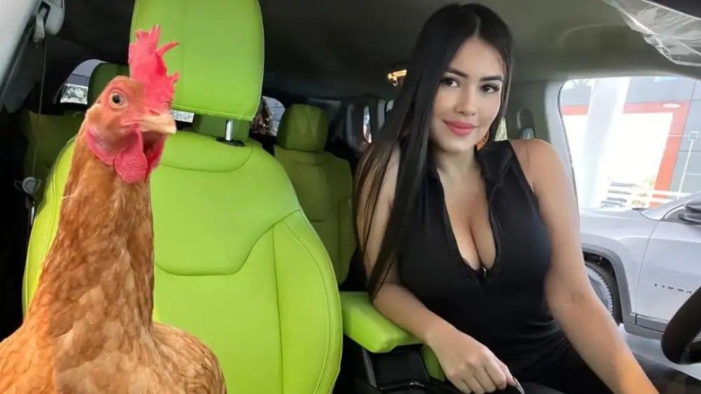 ¡Mañami! La gallina influencer de Laurys Dyva ya tiene guardia de “seguridá”